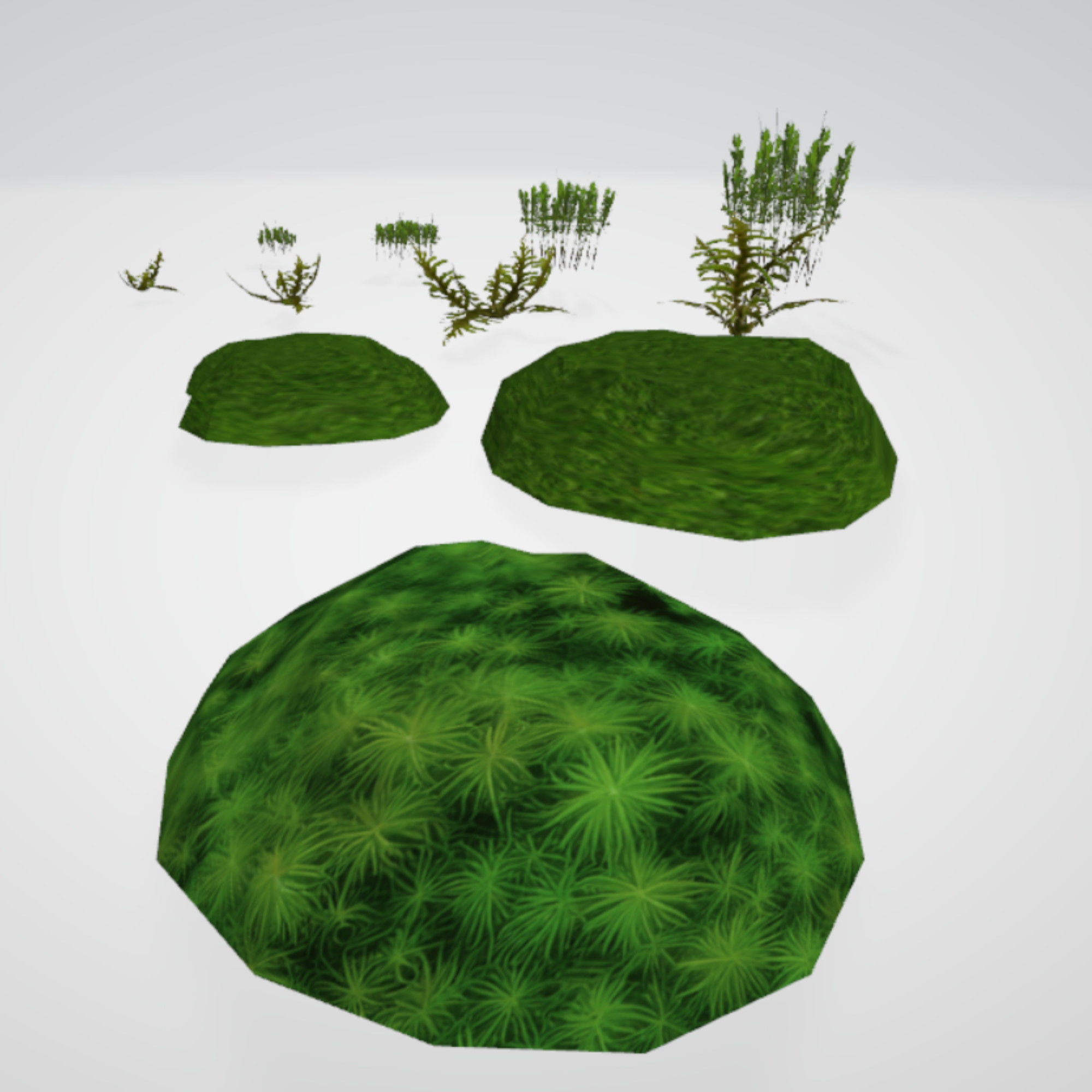 Moss Realistic Pack Low-poly 3D model_12