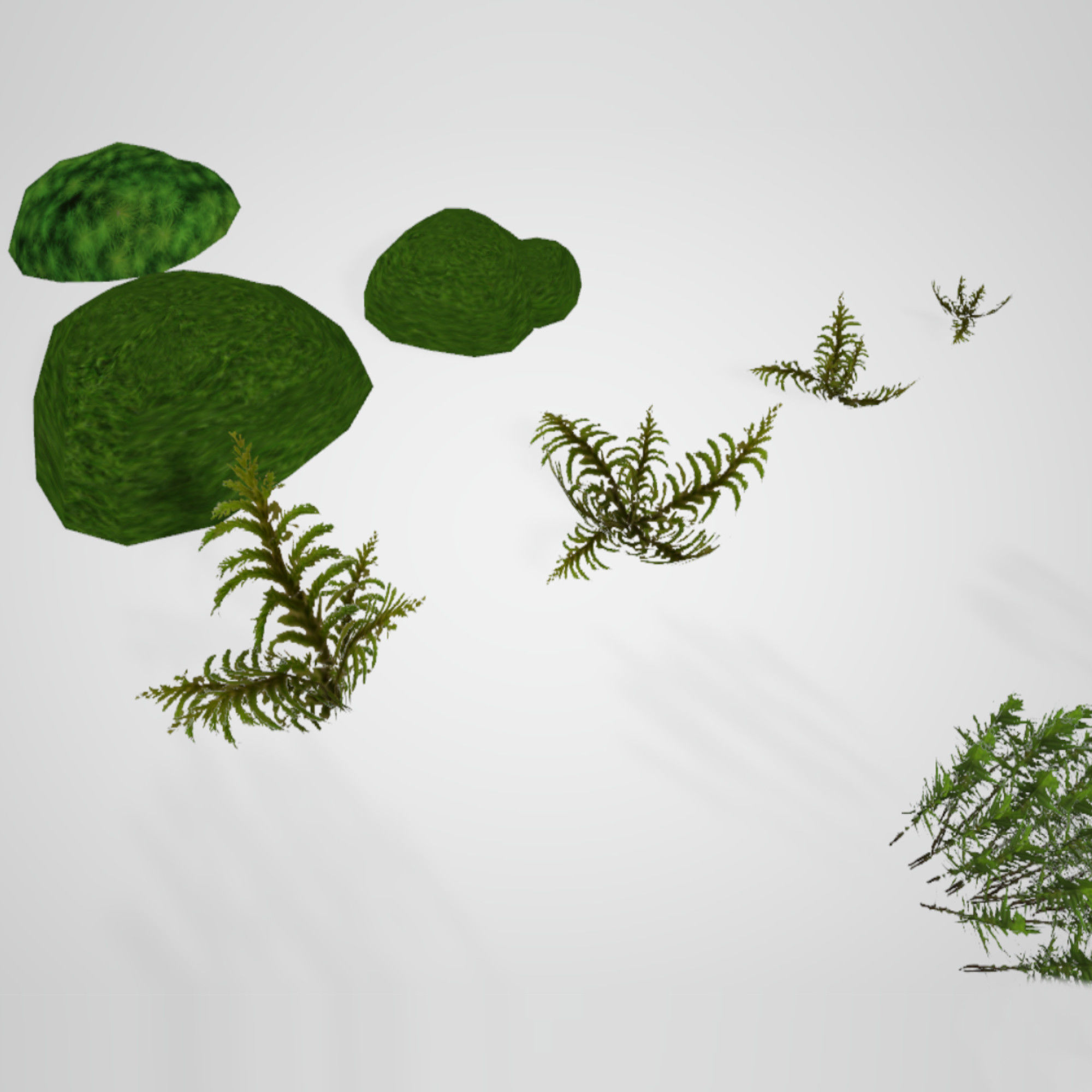 Moss Realistic Pack Low-poly 3D model_7