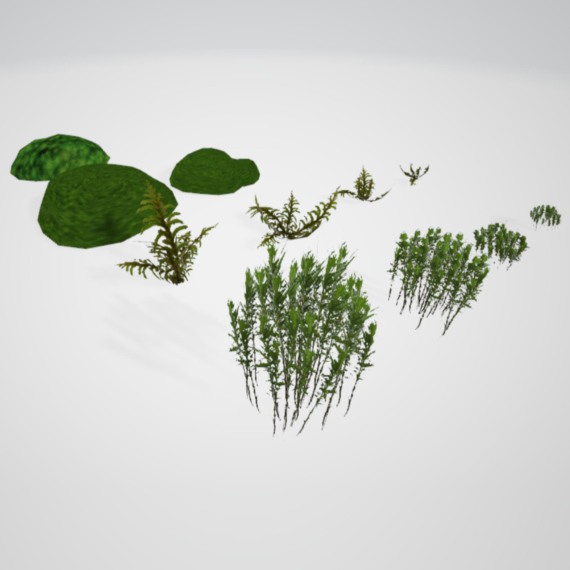 Moss Realistic Pack Low-poly 3D model_1