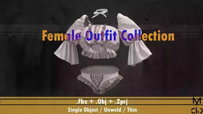 Women wear Closet Vol 2