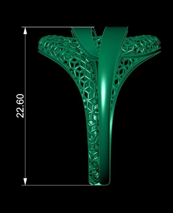 Fusion Ring 3D print model_2