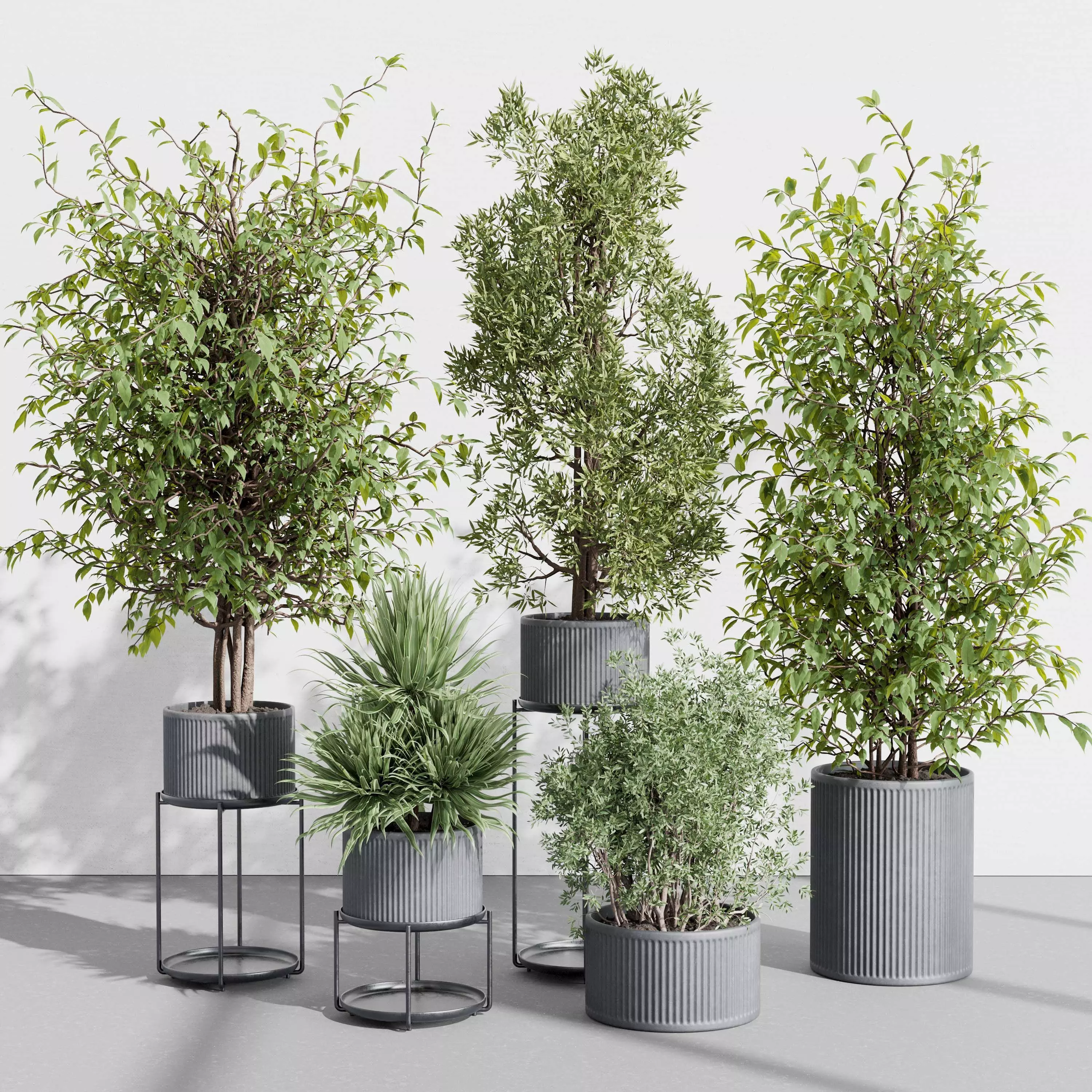 indoor plant set 398 pot tree in a concrete dirt vase Low-poly 3D model