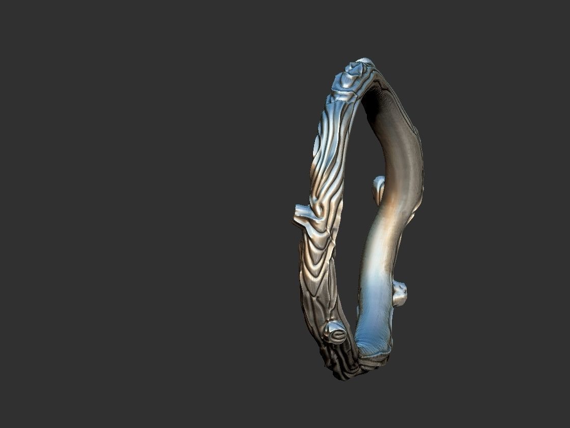 Rustic Branch Ring - Aliance 3D print model_7