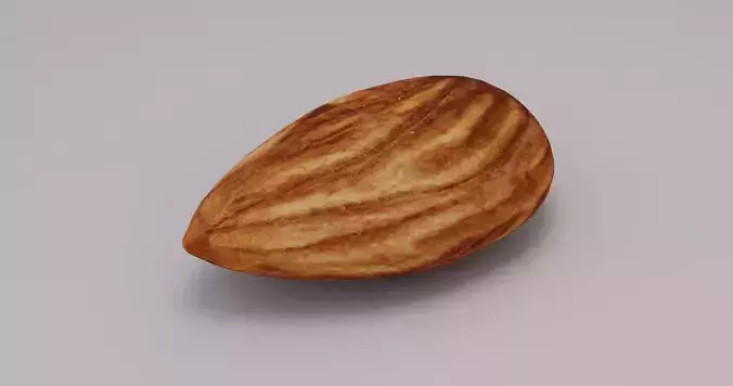 Photo-Realistic Almond Seed 3D Model