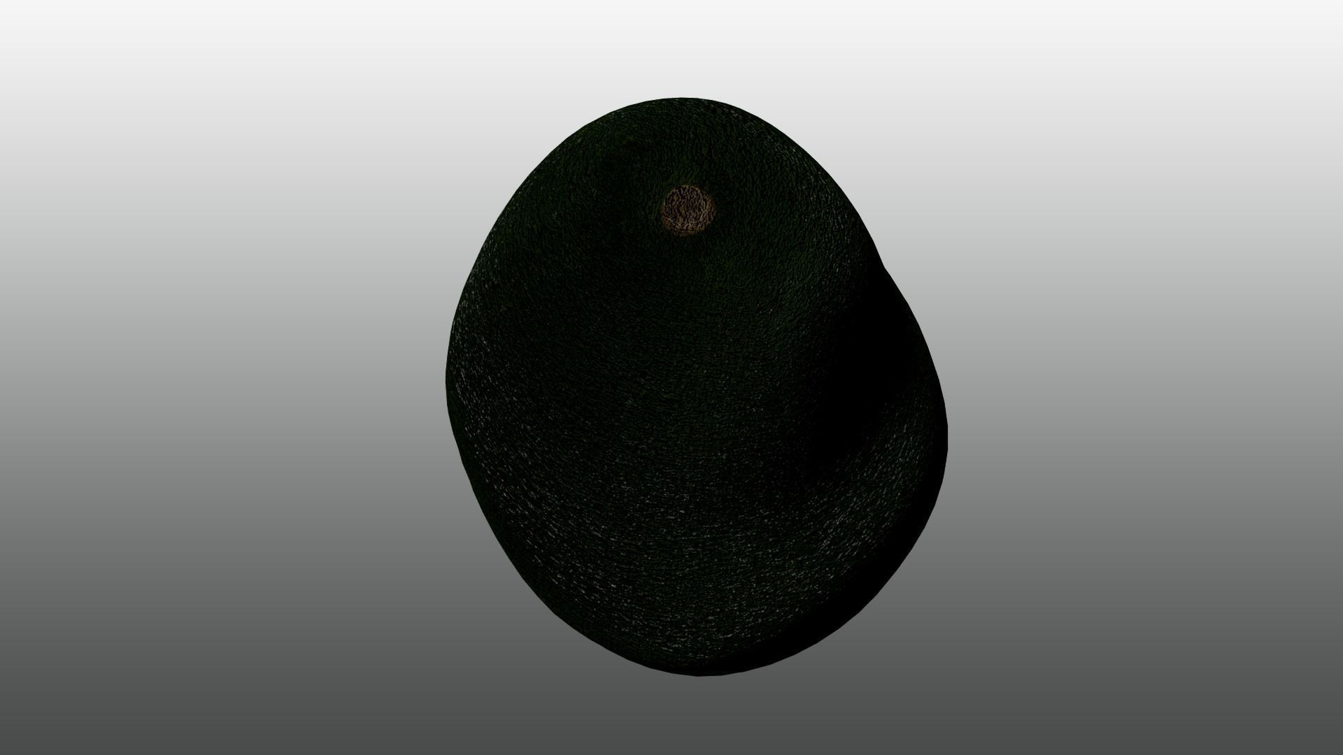 Avocado 3D model_3