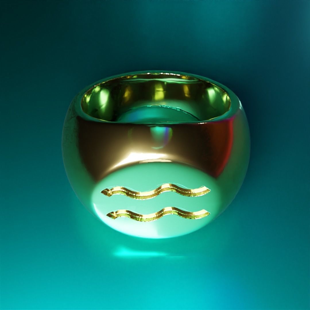 aquarius ring 3D print model_2
