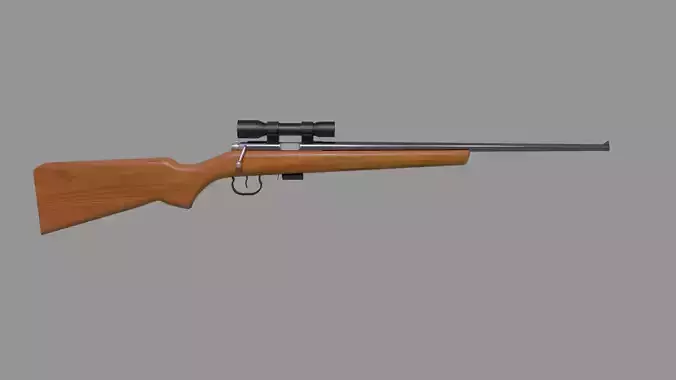 22lr rifle