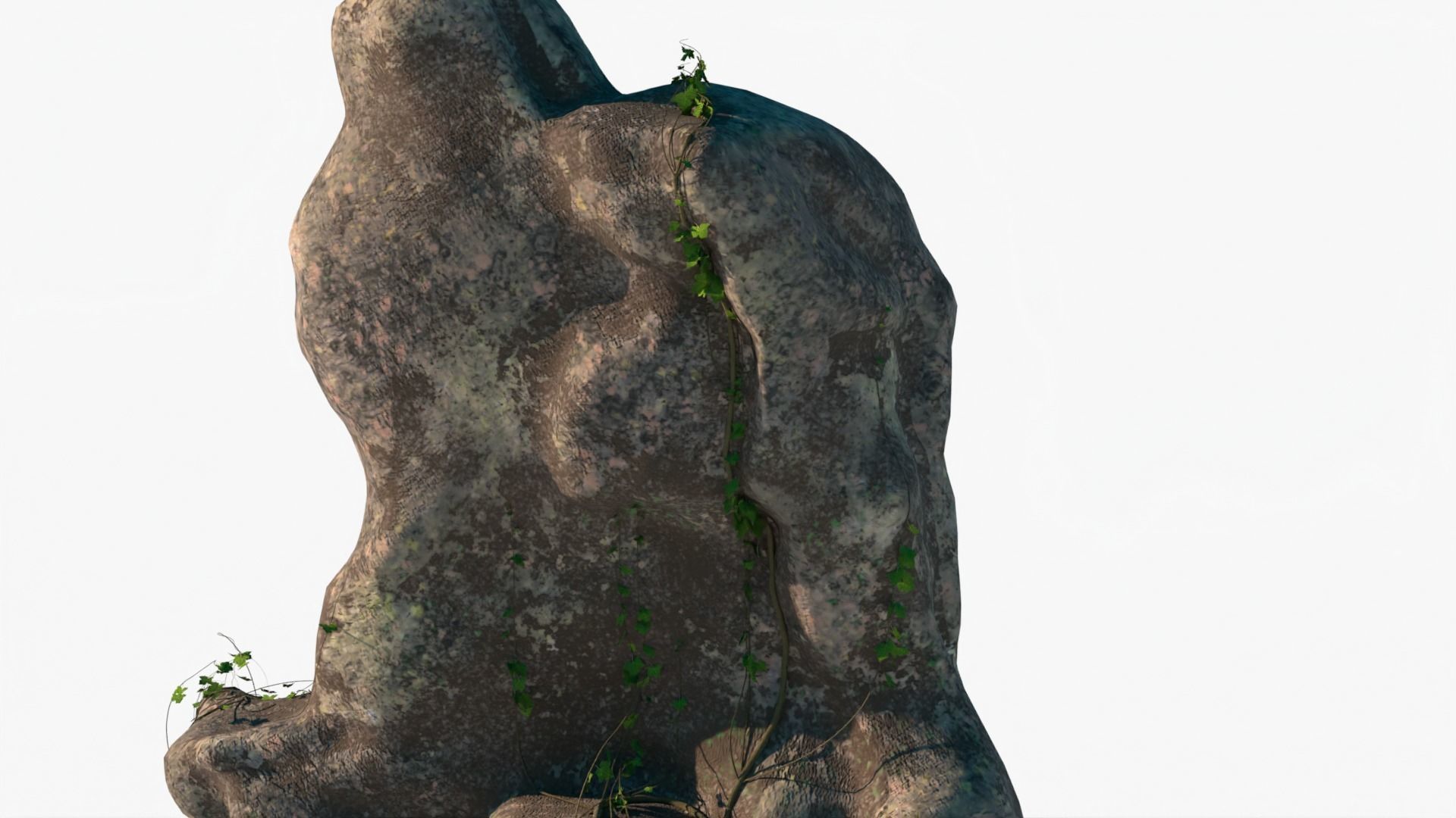 realistic Rock Ivy Low-poly  3D model_7