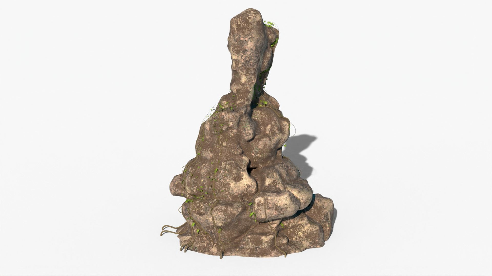 realistic Rock Ivy Low-poly  3D model_2