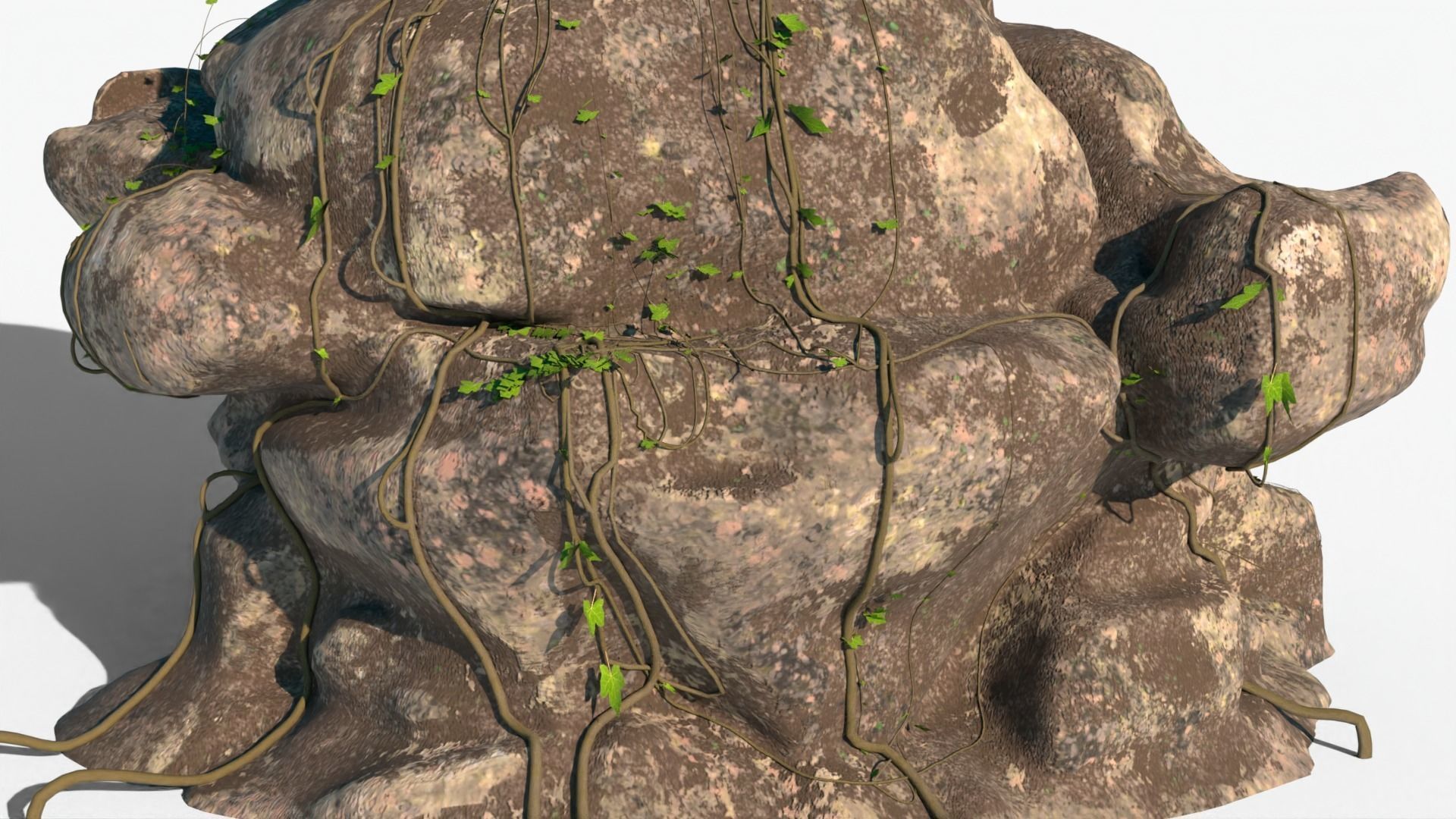 realistic Rock Ivy Low-poly  3D model_9