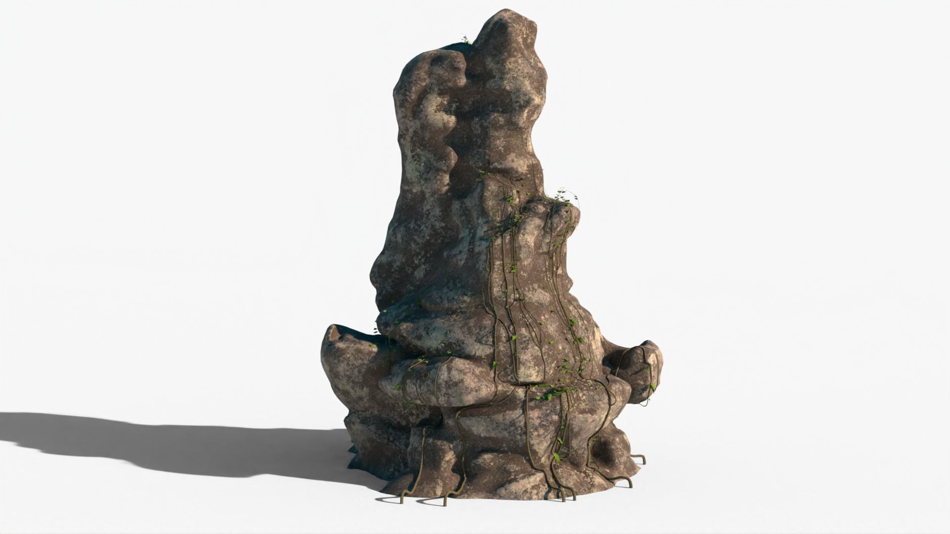 realistic Rock Ivy Low-poly  3D model_5