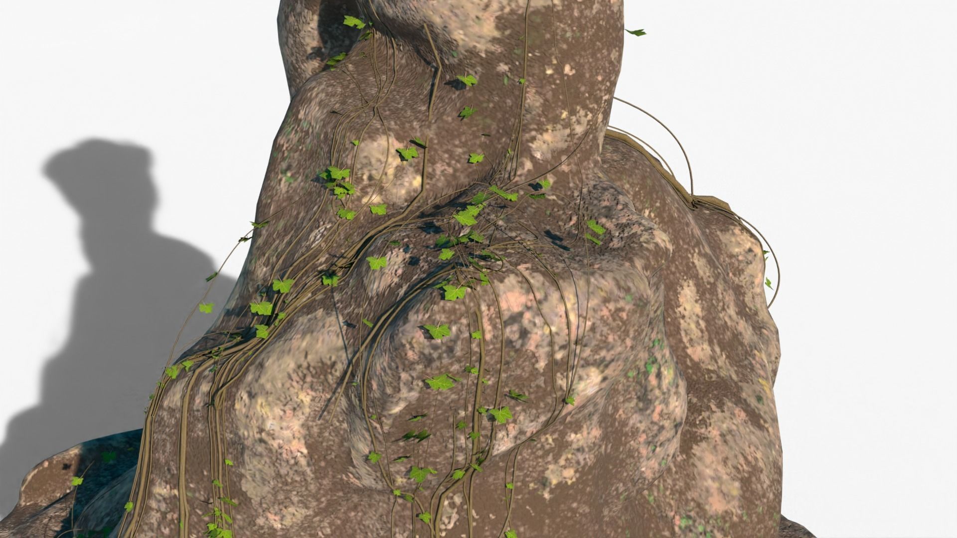 realistic Rock Ivy Low-poly  3D model_6