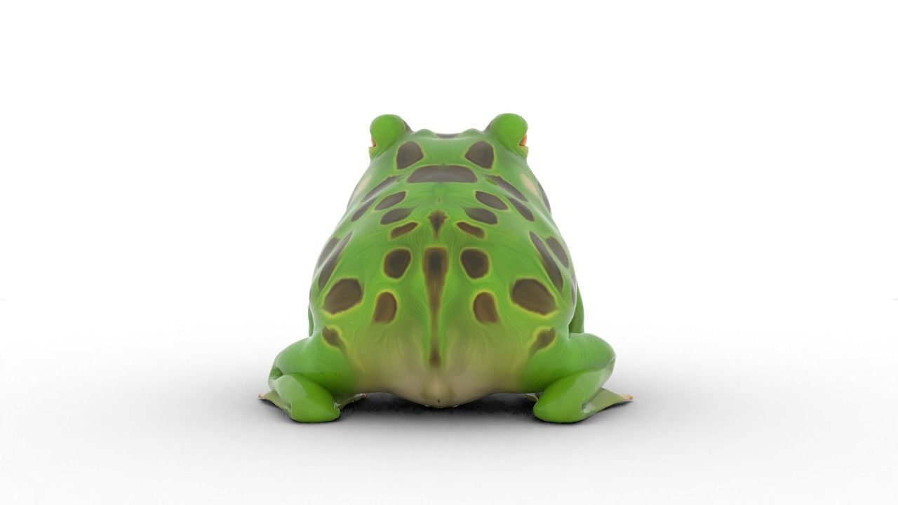 stylized frog animation Low-poly 3D model_4