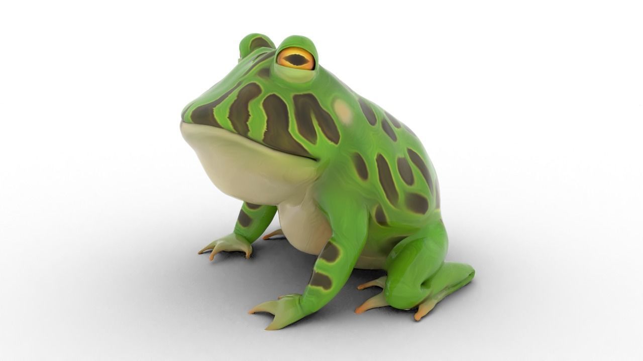 stylized frog animation Low-poly 3D model_3