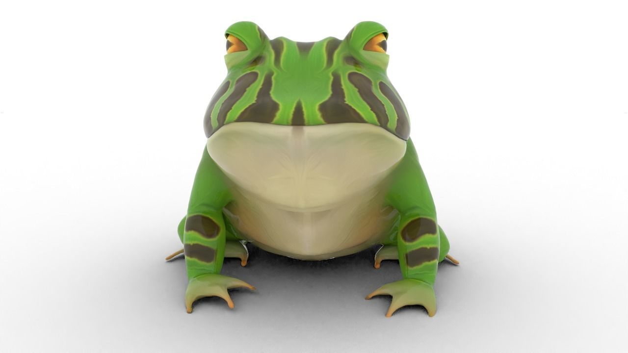 stylized frog animation Low-poly 3D model_2