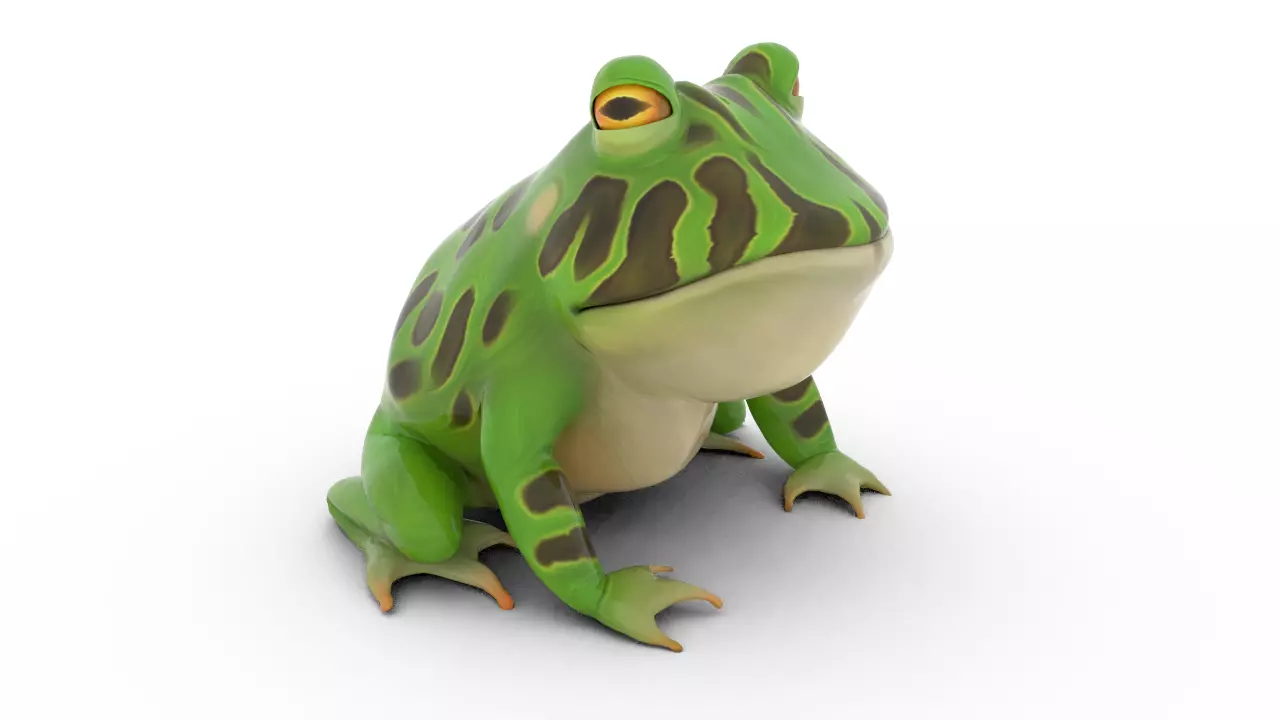 stylized frog animation Low-poly 3D model_0