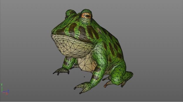 stylized frog animation Low-poly 3D model_5