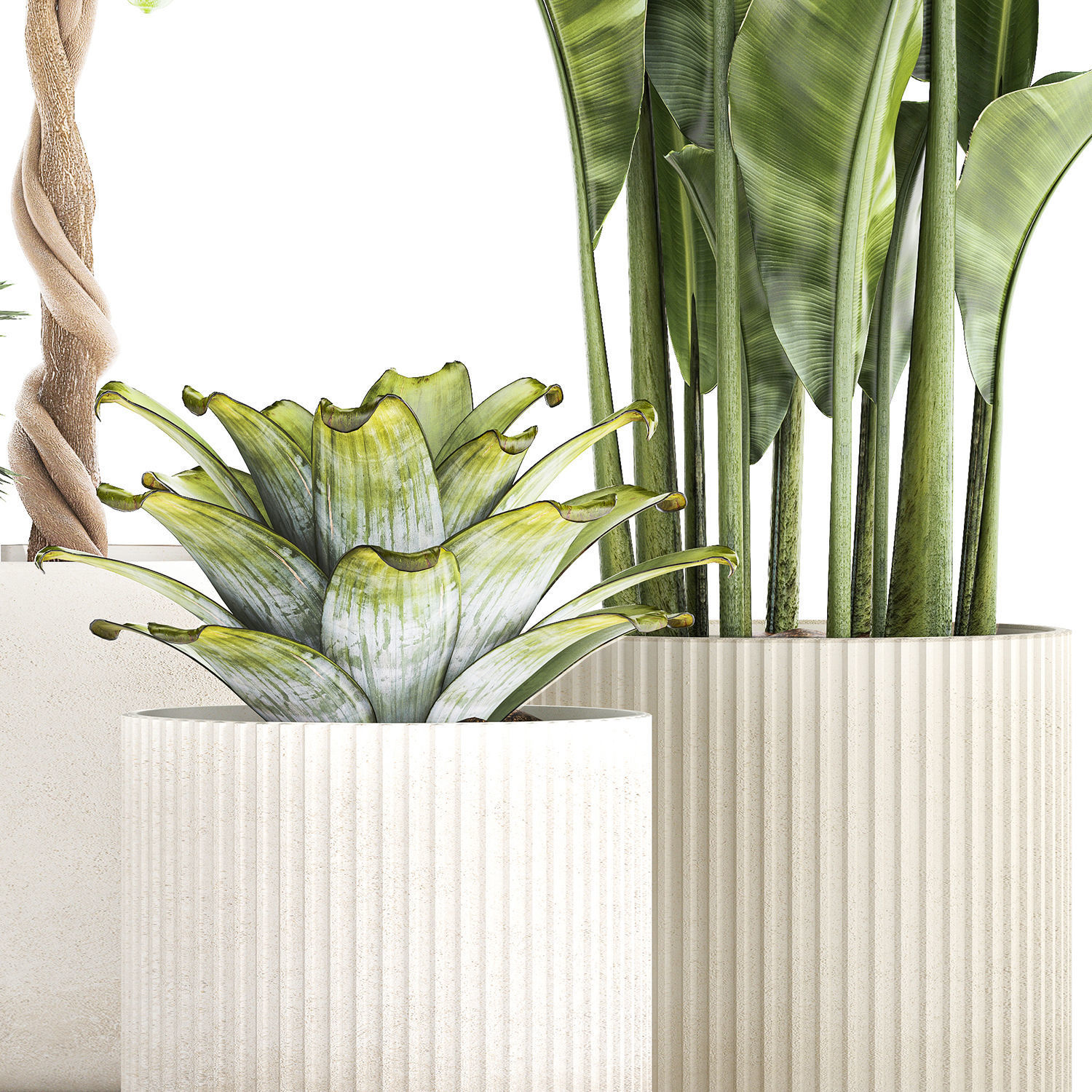 Set of beautiful plants lemon tree palm tree potted 1337 3D model_11