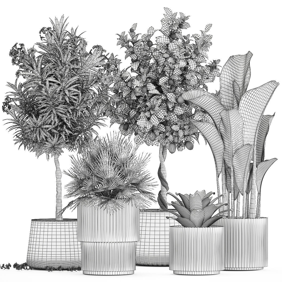 Set of beautiful plants lemon tree palm tree potted 1337 3D model_14