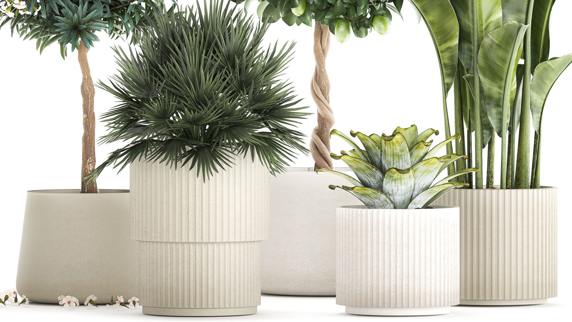 Set of beautiful plants lemon tree palm tree potted 1337 3D model_3