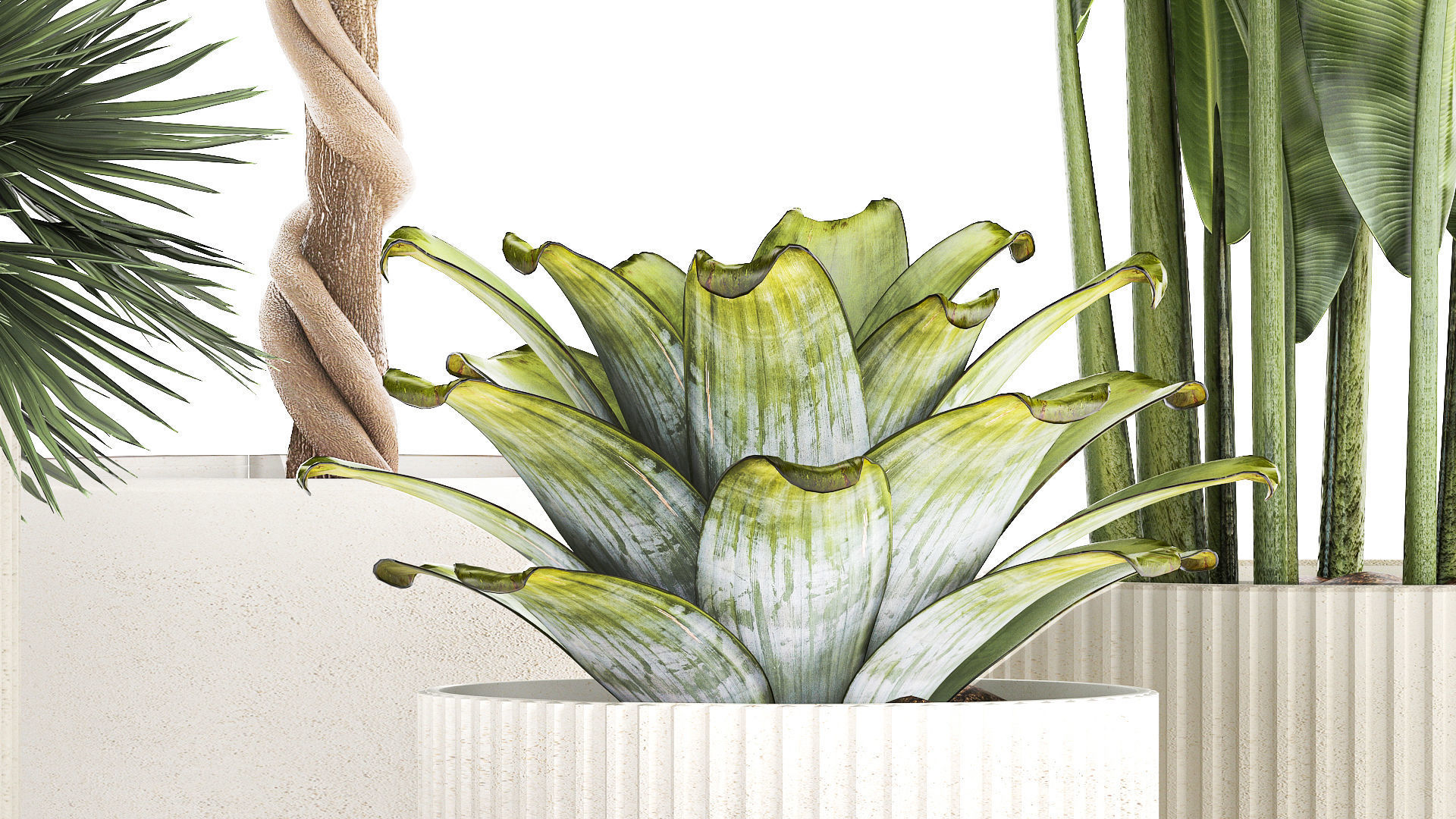 Set of beautiful plants lemon tree palm tree potted 1337 3D model_4