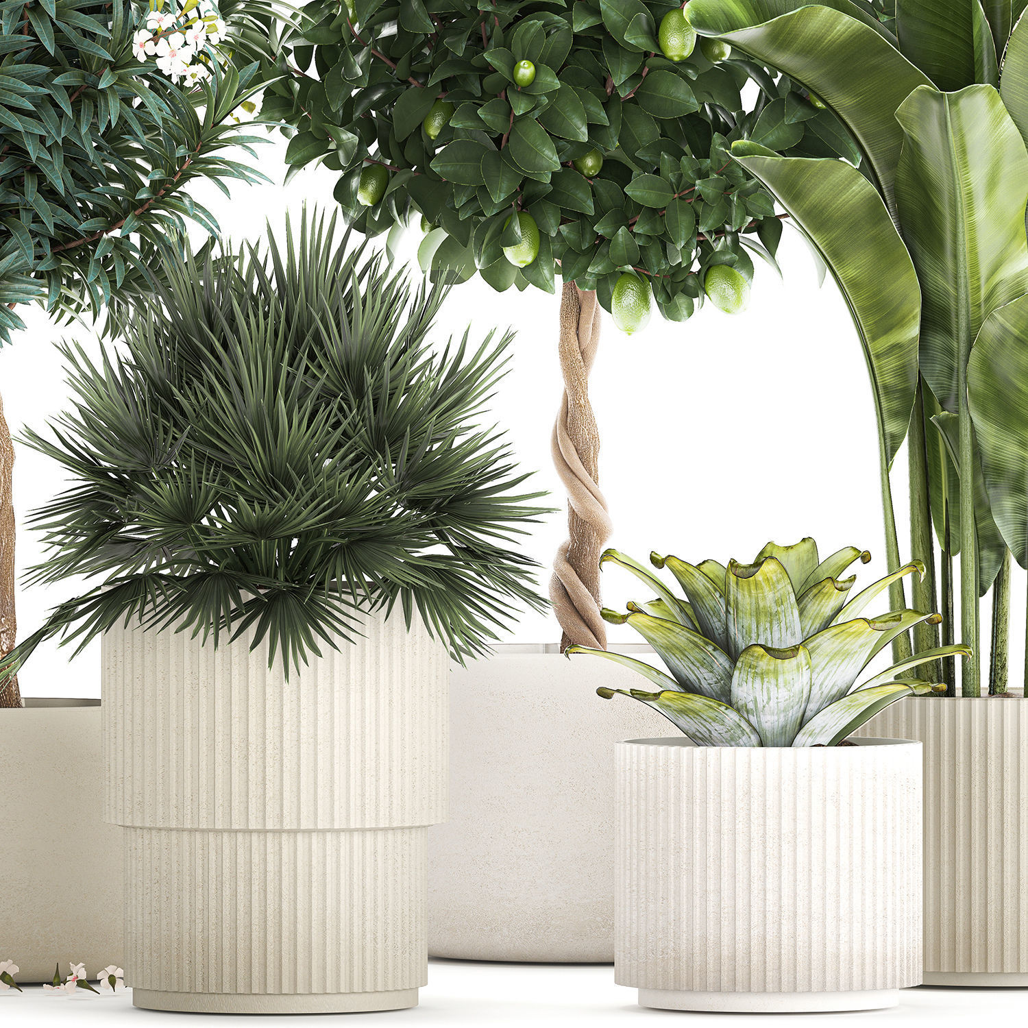 Set of beautiful plants lemon tree palm tree potted 1337 3D model_10