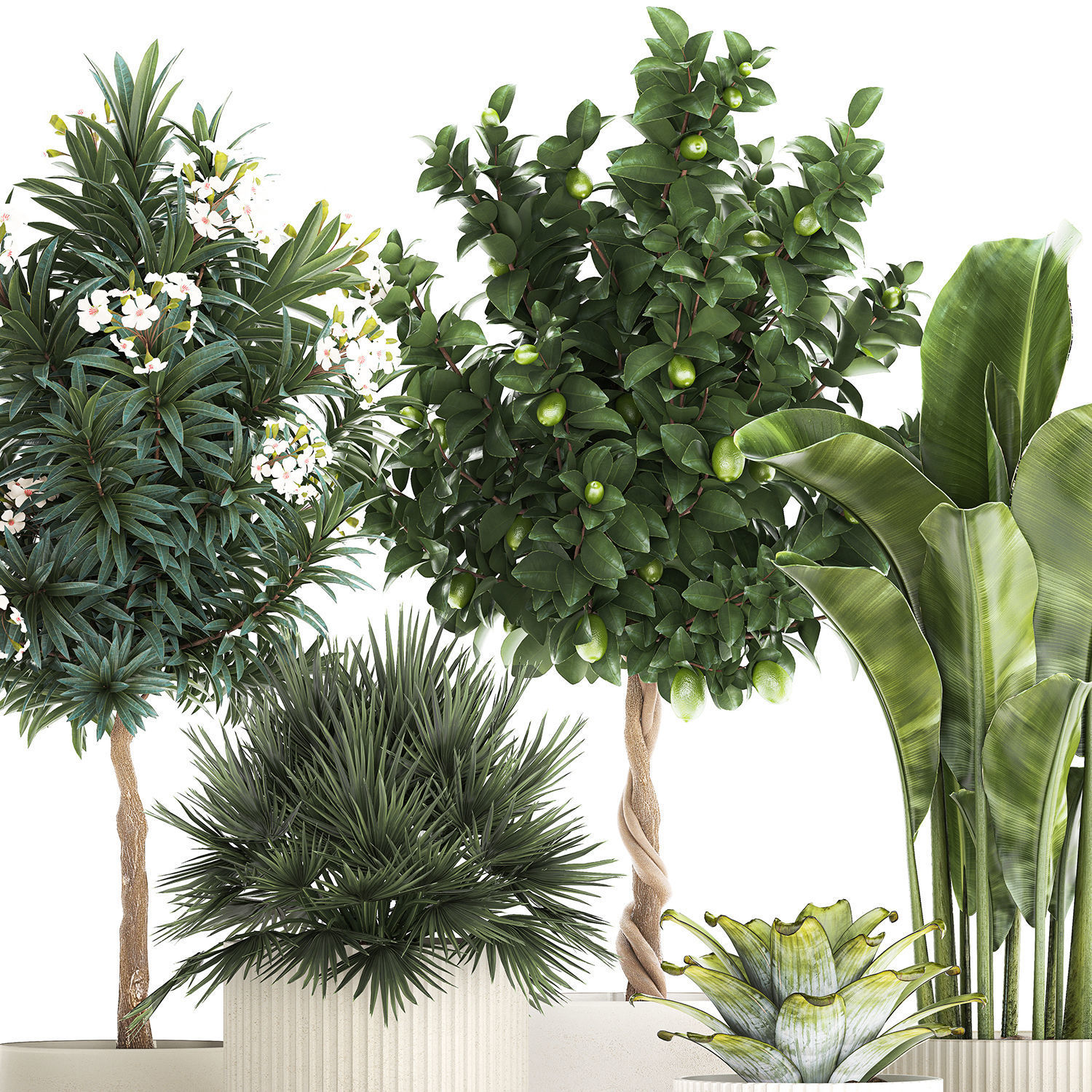 Set of beautiful plants lemon tree palm tree potted 1337 3D model_9