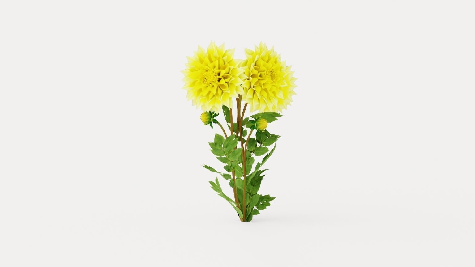 Kelvin Floodlight Low-poly 3D model_1