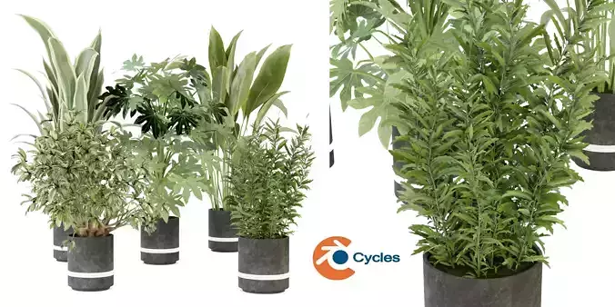  Collection plant vol 263 - blender model 