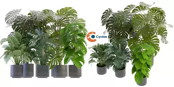Collection plant vol 264 - blender model  3D model