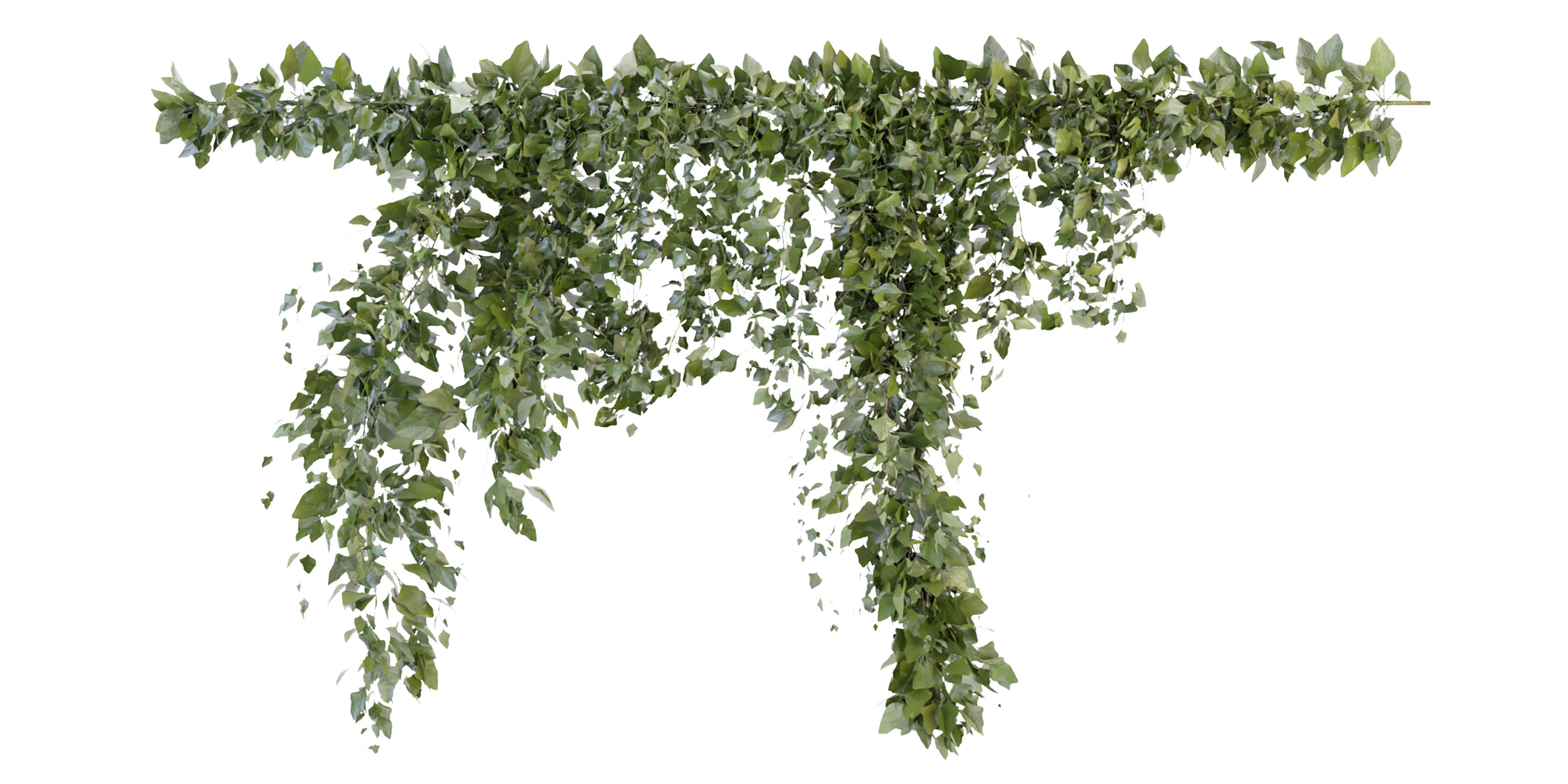 Collection plant vol 266 - blender model  3D model_5