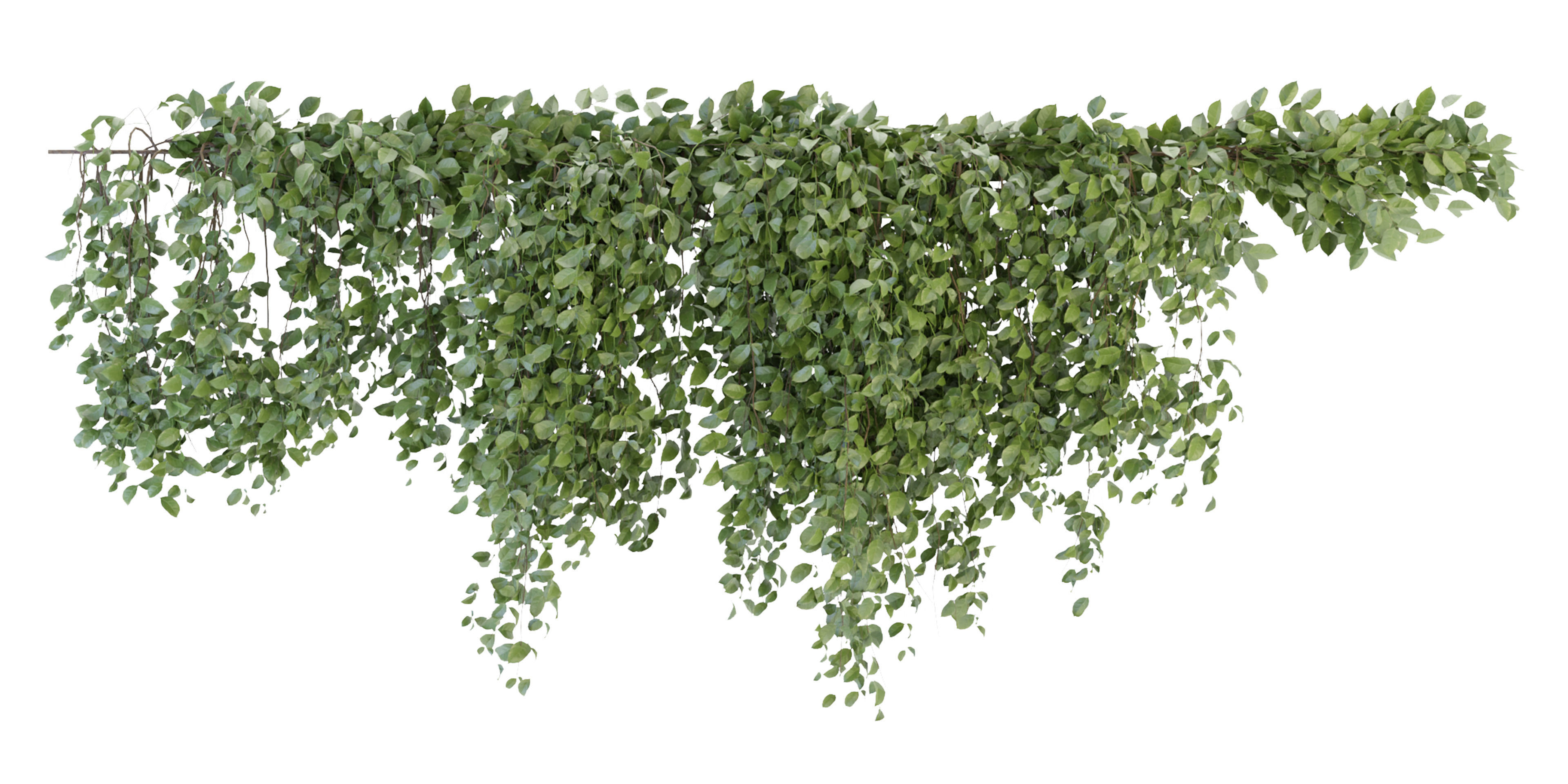 Collection plant vol 266 - blender model  3D model_2