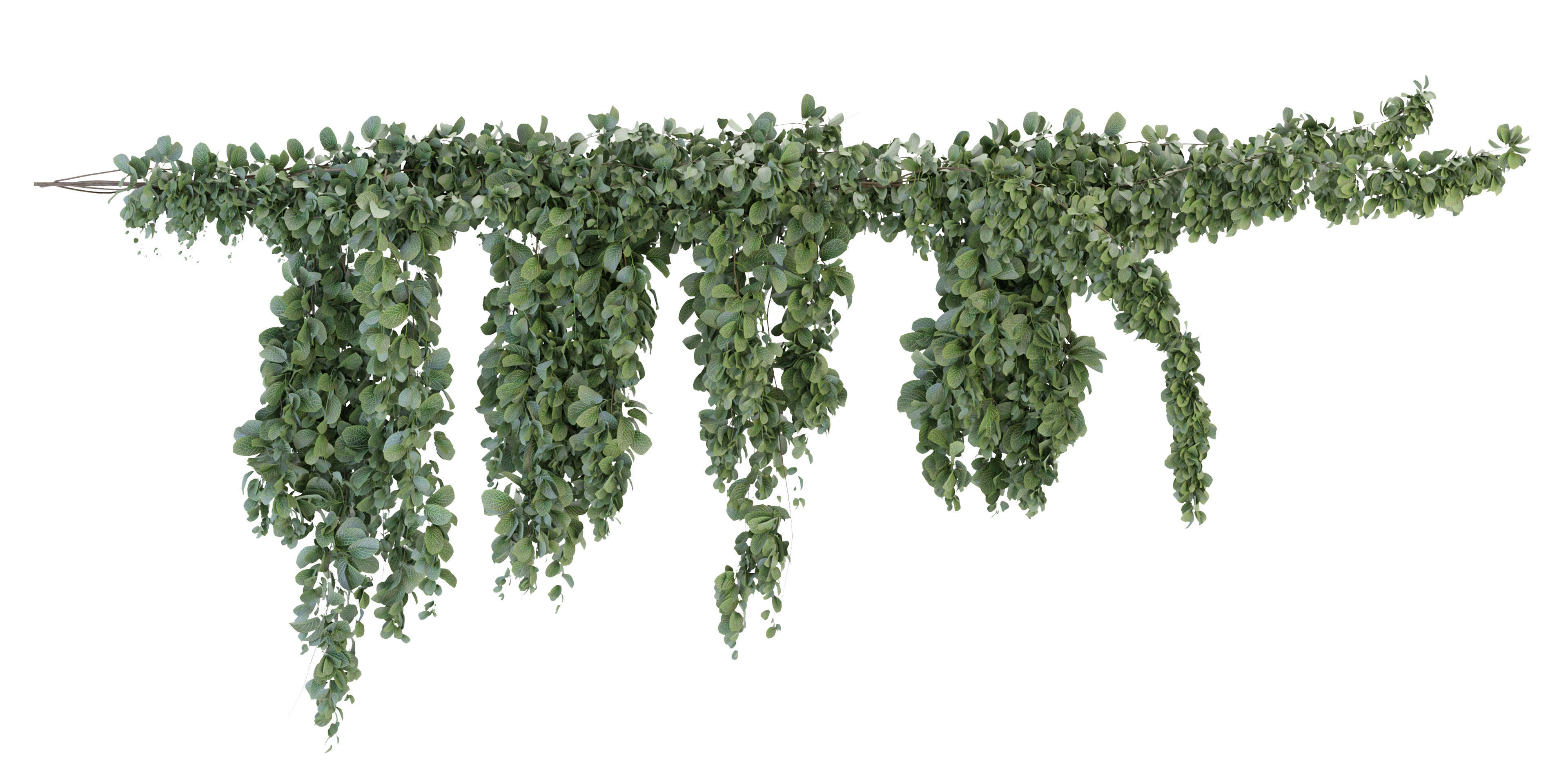 Collection plant vol 266 - blender model  3D model_1