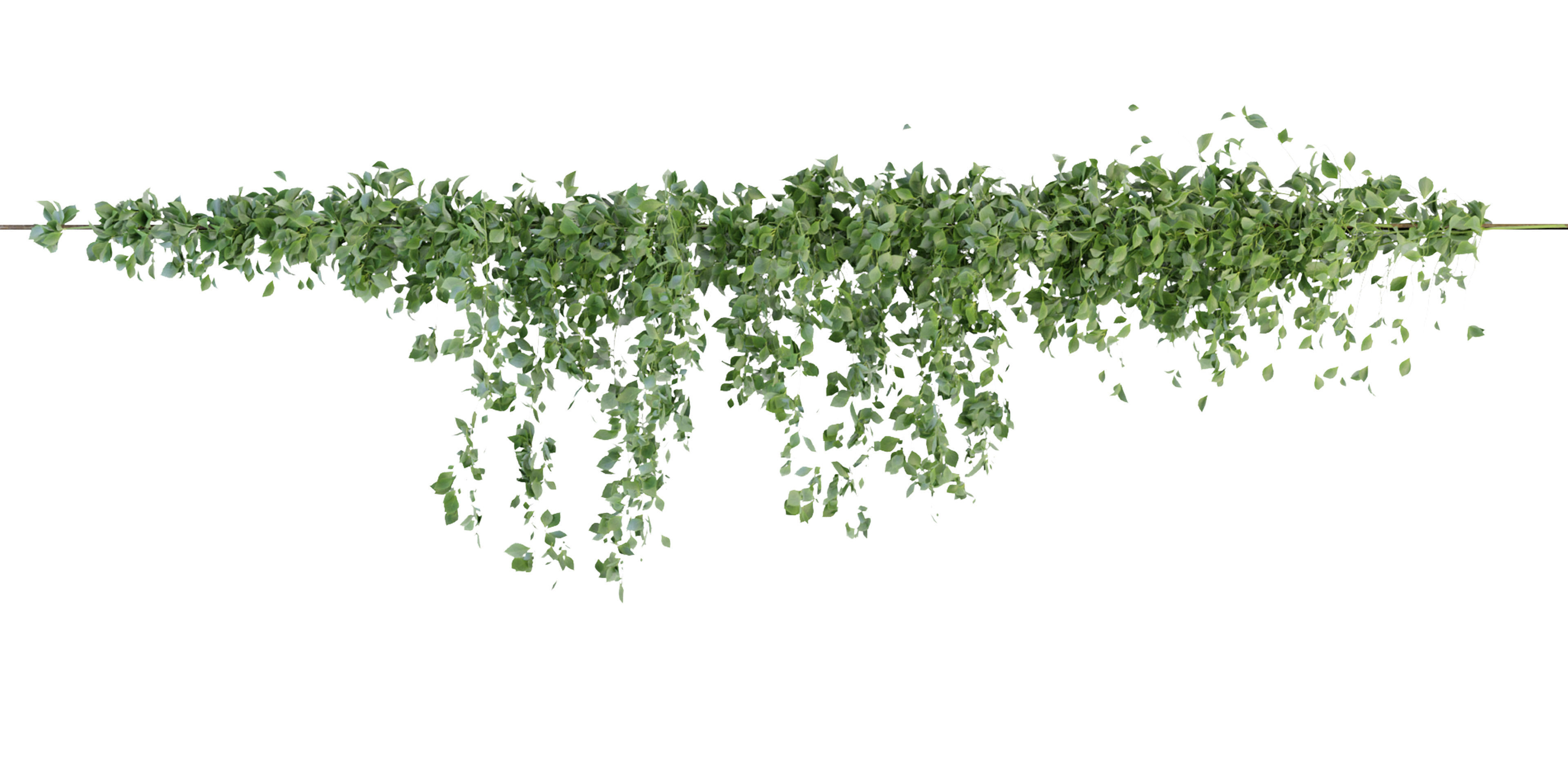 Collection plant vol 266 - blender model  3D model_4