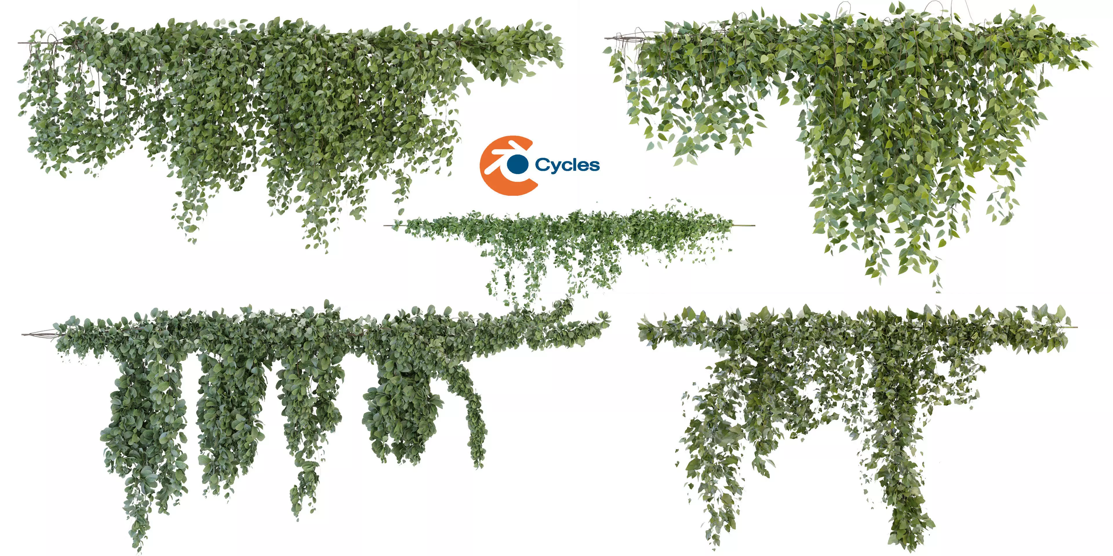 Collection plant vol 266 - blender model  3D model_0