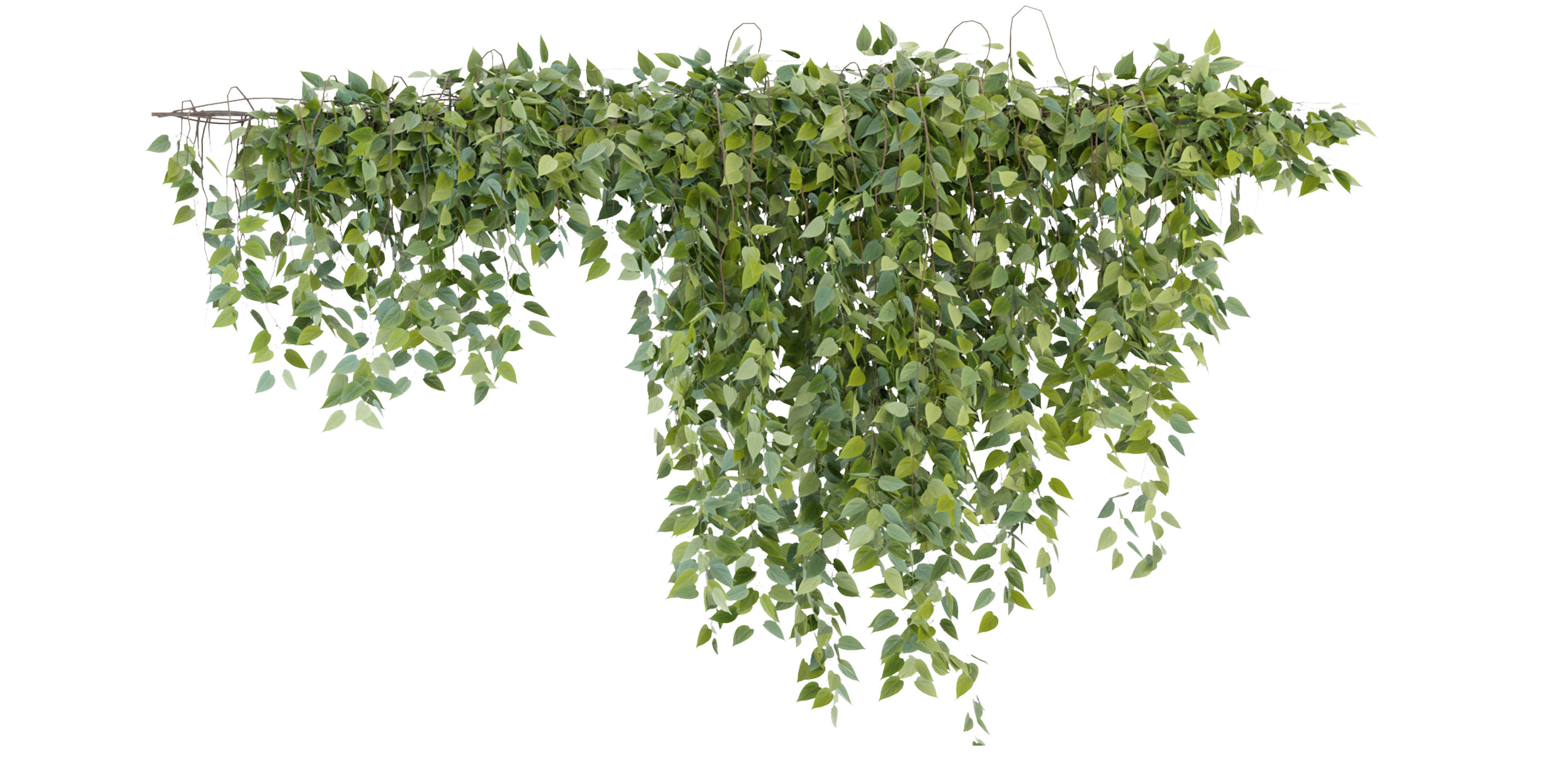 Collection plant vol 266 - blender model  3D model_3