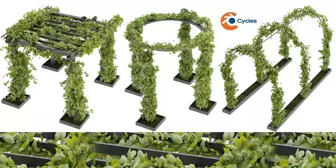 Collection plant vol 269 - blender model  3D model