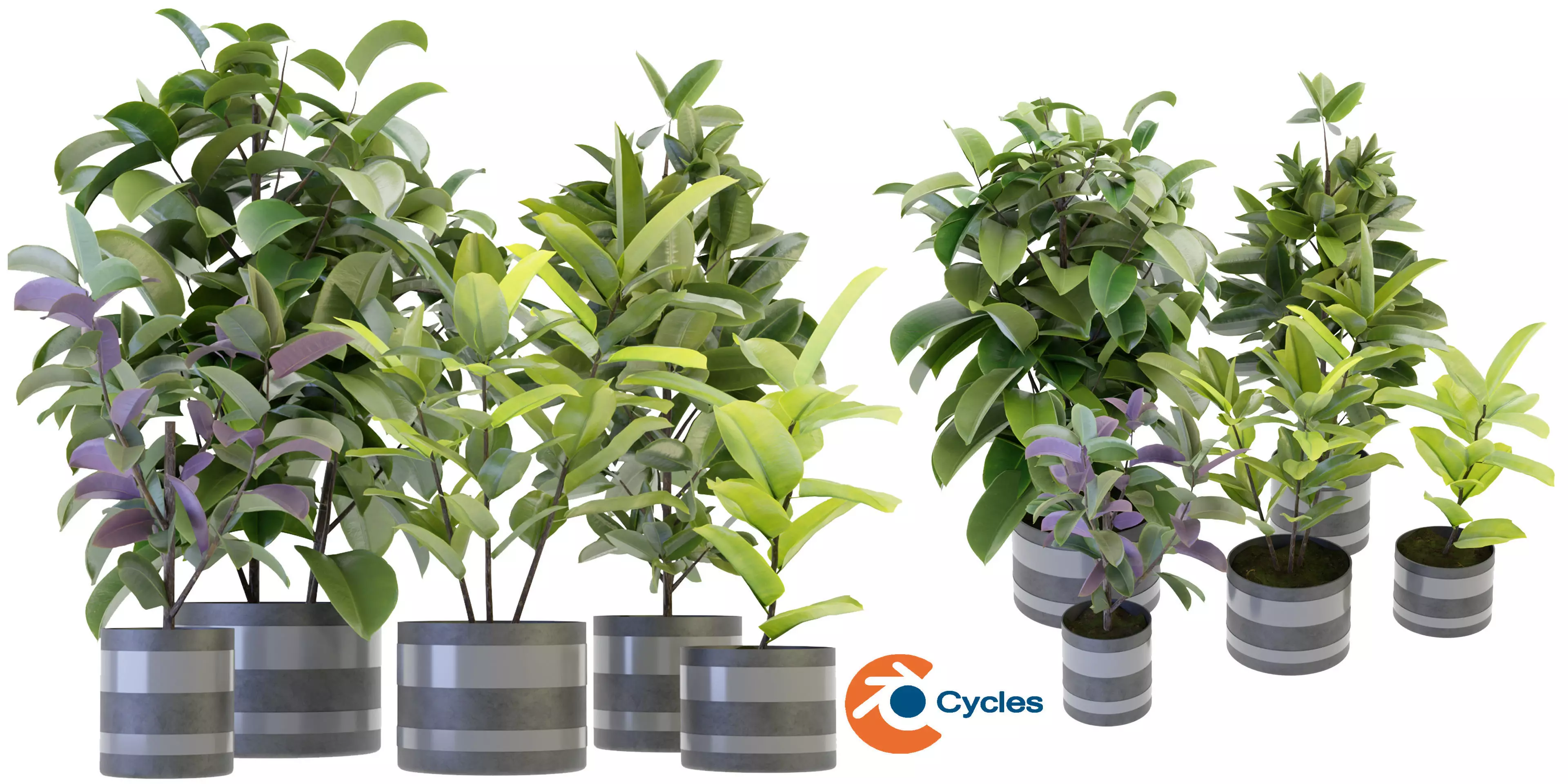 Collection plant vol 272 - blender model  3D model_0