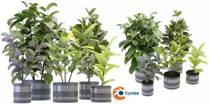 Collection plant vol 272 - blender model 