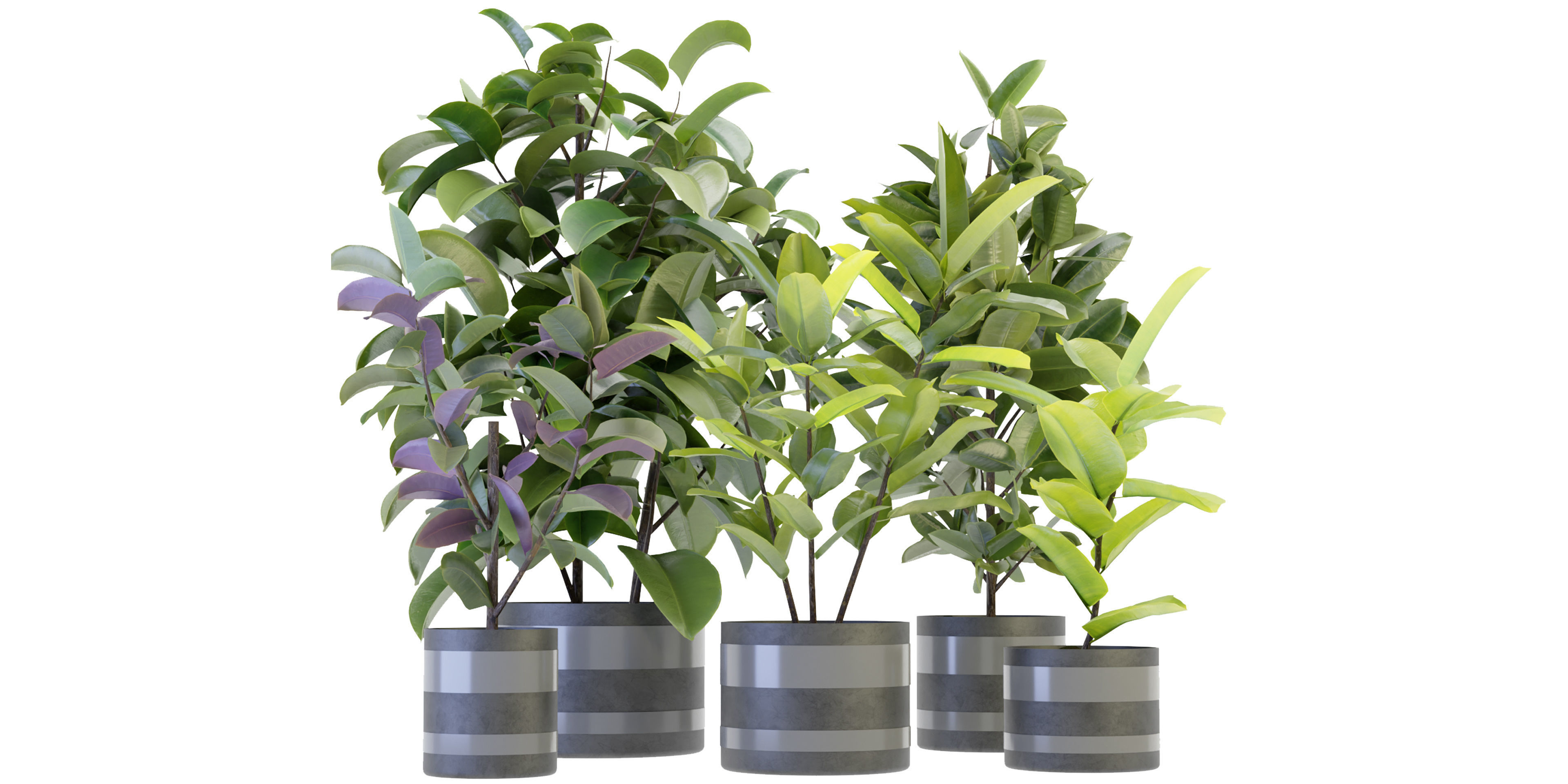 Collection plant vol 272 - blender model  3D model_1