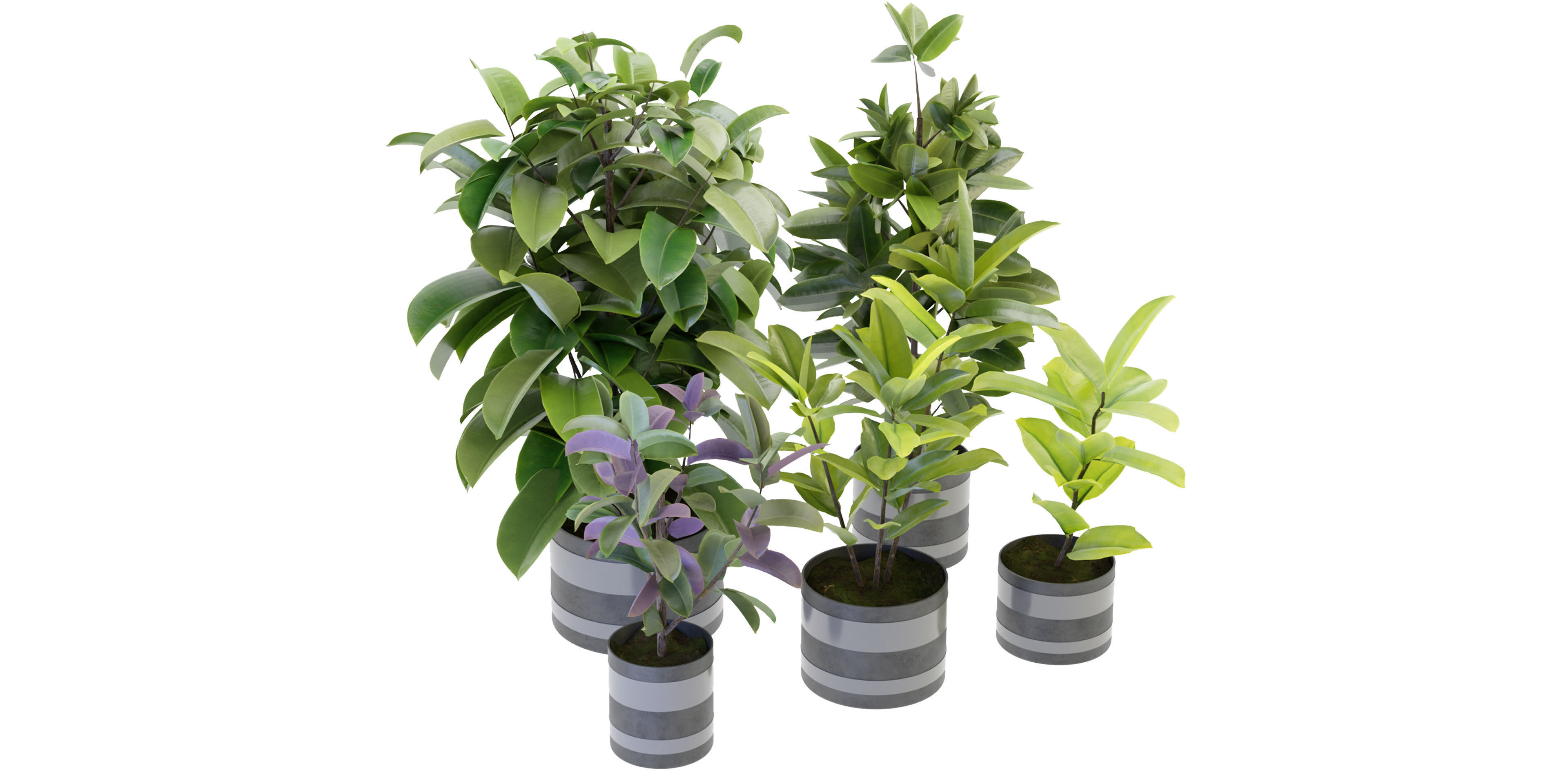 Collection plant vol 272 - blender model  3D model_3