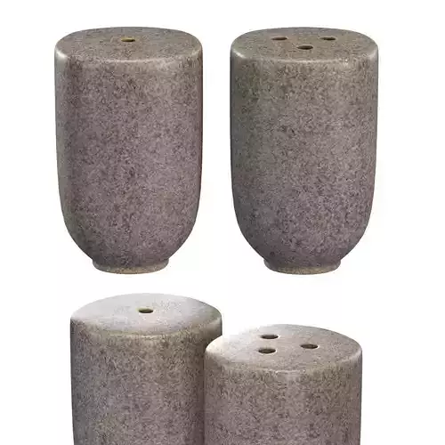 Kendra Salt and Pepper Shaker 3D model