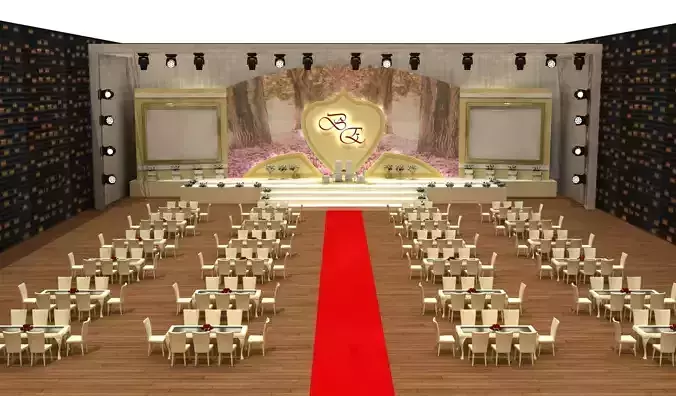 Wedding Party Stage 011