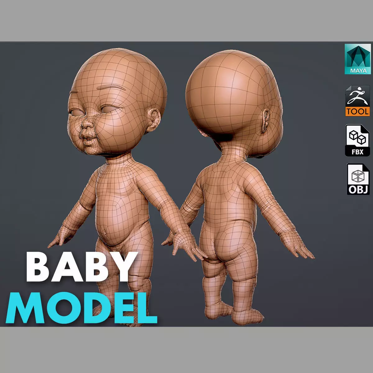 Baby model 3D model