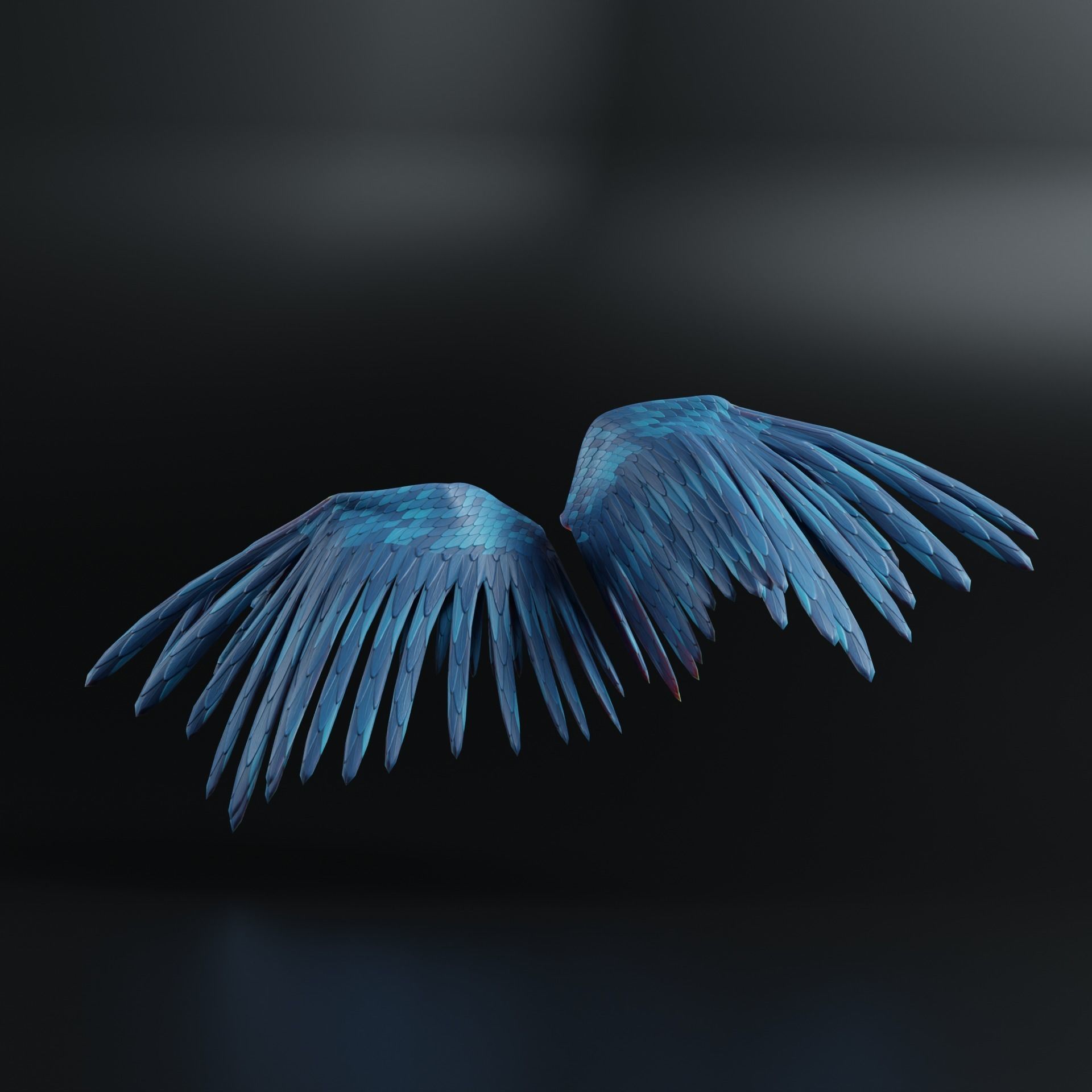 Feather  Wings  3D model_4