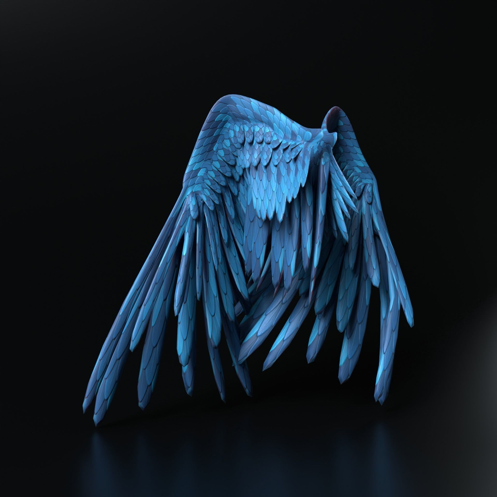 Feather  Wings  3D model_3