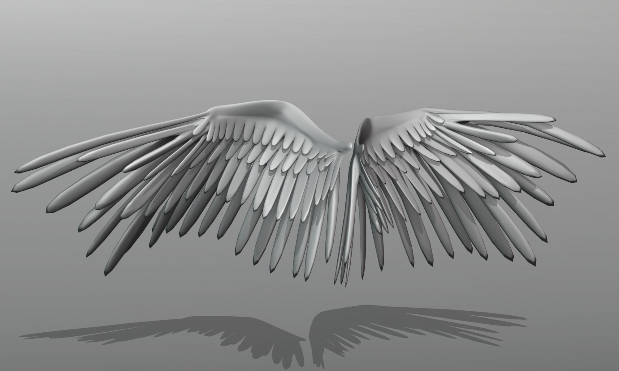 Feather  Wings  3D model_5
