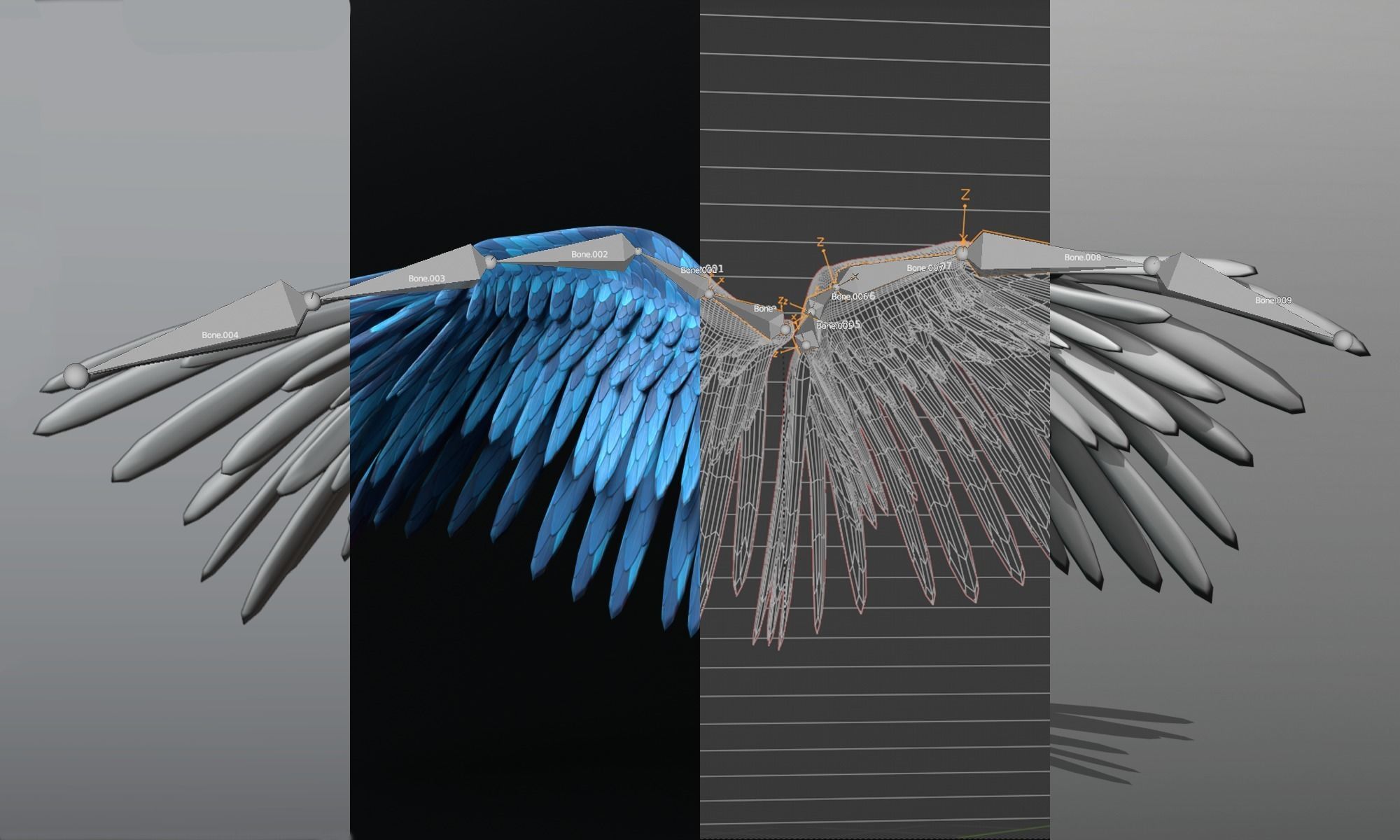 Feather  Wings  3D model_1