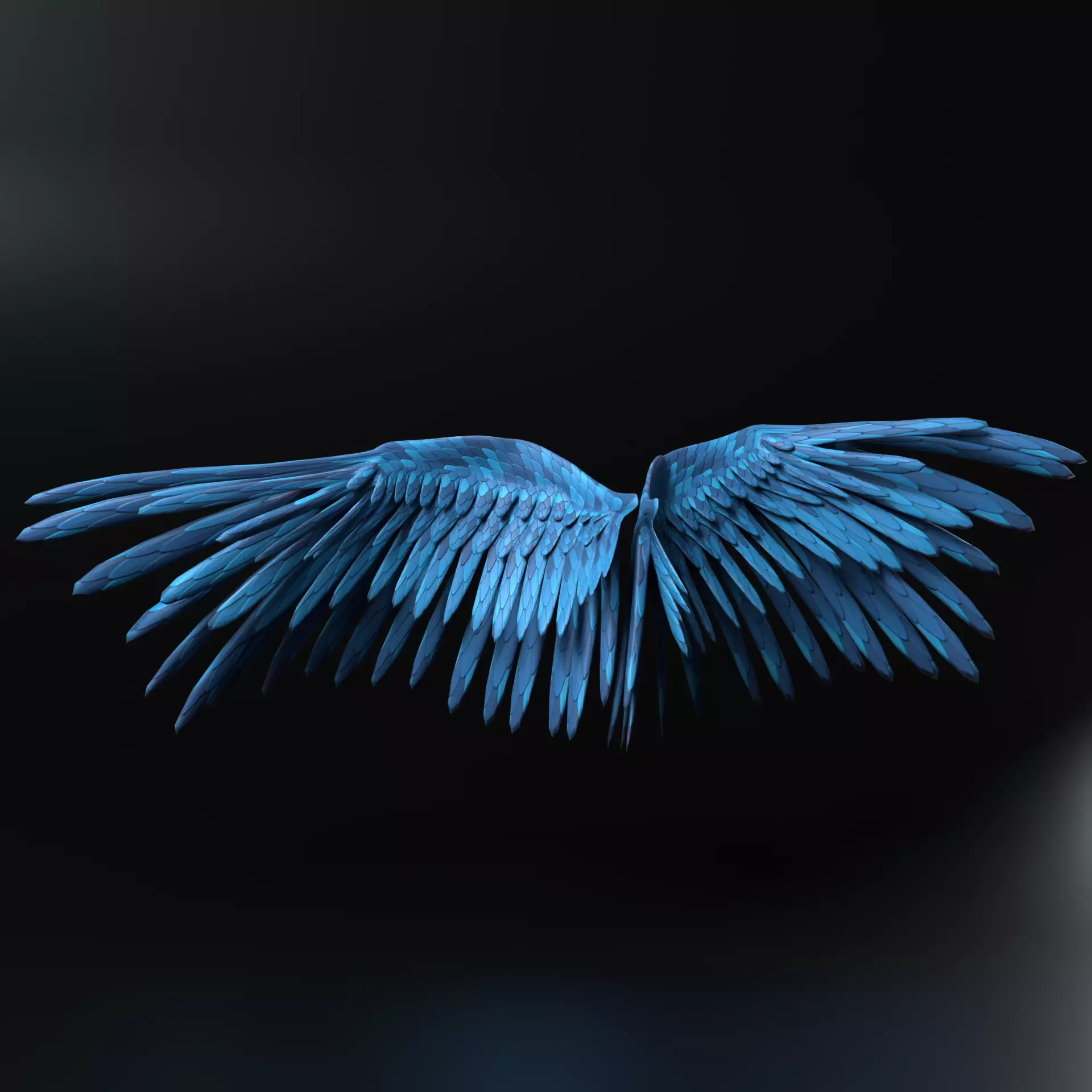Feather  Wings  3D model_0
