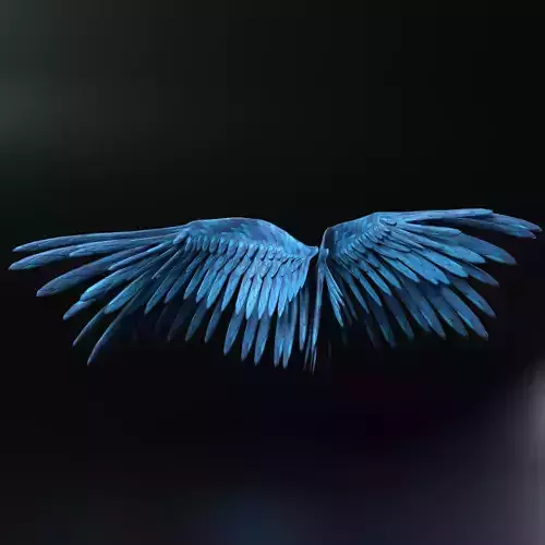 Feather  Wings 